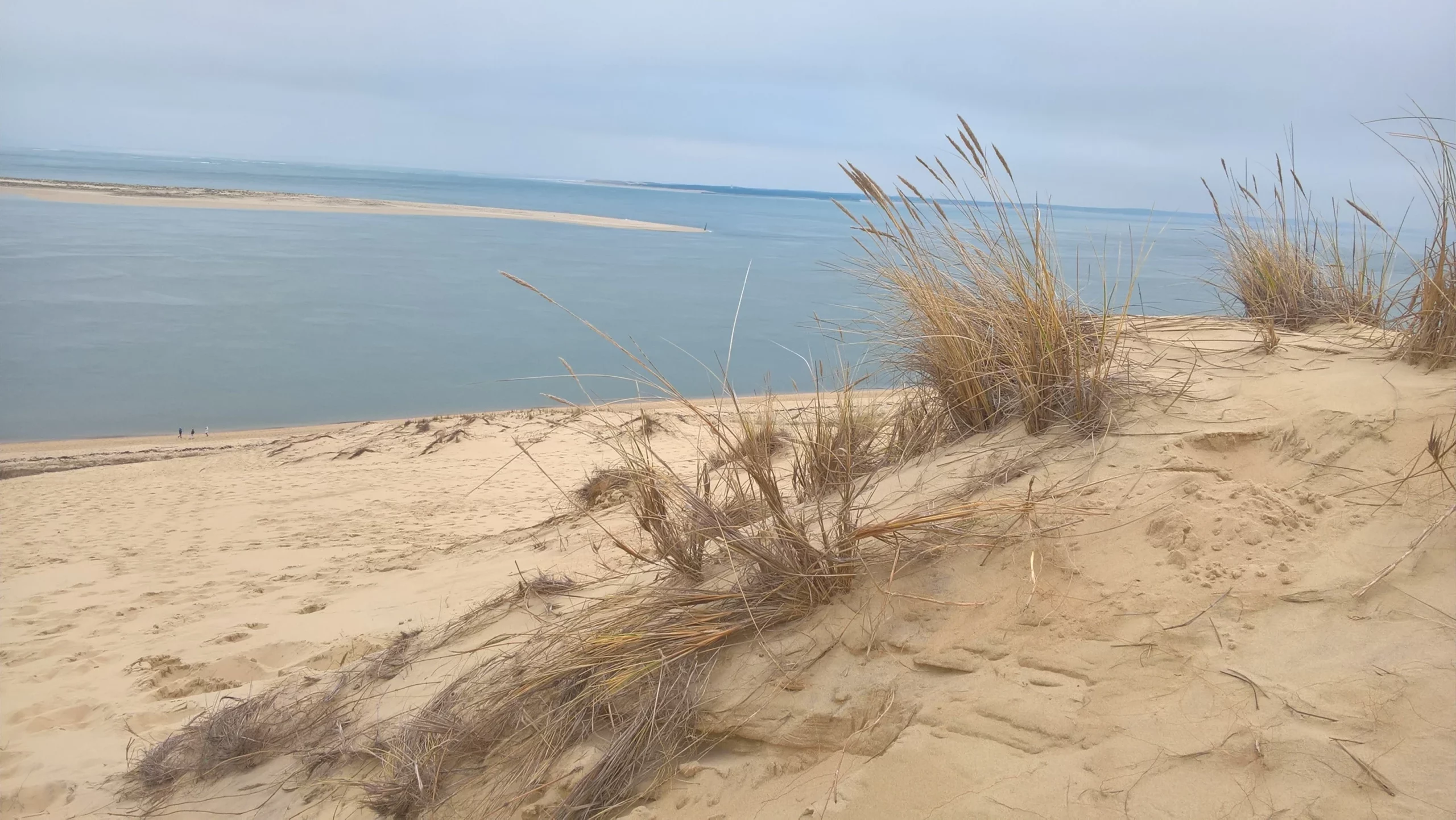 image d'un bord de plage avec la mer